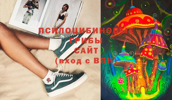 гидра Козловка