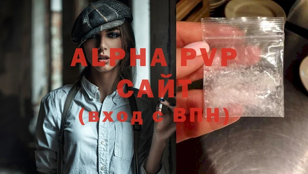гидра Козловка