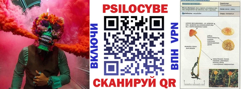 Купить закладки  Александровск-Сахалинский  Галлюциногенные грибы Magic Shrooms